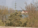 Pohled z vily přes Labe na vodárnu Káraný